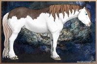 Horse Color:Liver Chestnut Splash Rabicano 