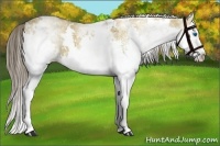 Horse Color:White Spotted Liver Red Dun Splash 
