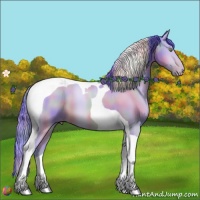 Horse Color:Nacre Watercolor Sable Champagne Tobiano 