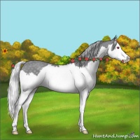 Horse Color:Silver Classic Champagne Chinchilla Splash 
