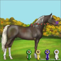 Horse Color:Liver Chestnut Mushroom 