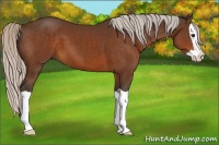 Horse Color:Silver Brown Splash 