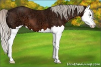 Horse Color:Silver Brown Ice Splash