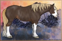 Horse Color:Liver Chestnut Sabino Splash Rabicano 