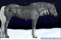 Horse Color:Silver Black Chinchilla 