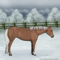 Horse Color:Silver Black 