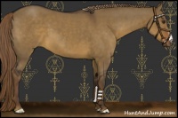 Horse Color:Liver Red Dun 