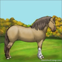 Horse Color:Liver Red Dun 