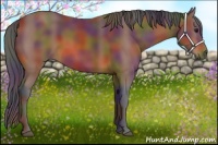 Horse Color:Nacre Bay 