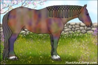 Horse Color:Nacre Bay 