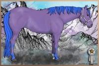 Horse Color:Watercolor Bay Rabicano 