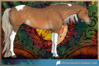 Horse Color:Chocolate Palomino Tobiano 