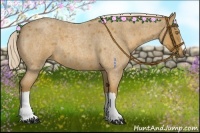 Horse Color:Palomino Roan 