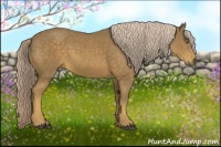 Horse Color:Chocolate Palomino 