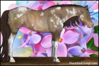 Horse Color:Gray White Spotted Buckskin Pearl Tobiano