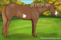 Horse Color:Chestnut Frame 