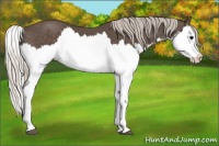 Horse Color:Silver Black Splash 