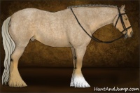 Horse Color:Chocolate Palomino Roan 
