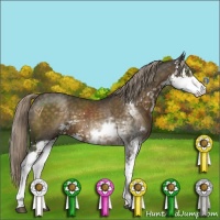 Horse Color:Chocolate Palomino Sabino