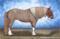 Horse Color:Red Roan Tobiano 