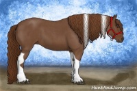 Horse Color:Red Roan Tobiano 