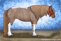 Horse Color:Red Roan Tobiano 