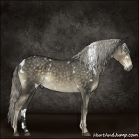 Horse Color:White Spotted Chocolate Palomino Mushroom 