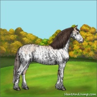 Horse Color:Liver Red Roan and White Spotted Amber Champagne Splash