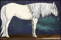 Horse Color:Silver Perlino Dun 