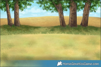 Horse Color:White Spotted Chestnut Splash 