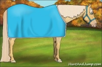 Horse Color:Gold Cream Champagne Roan 
