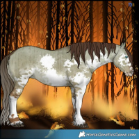 Horse Color:Liver Red Dun Splash Brindle 