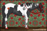 Horse Color:Black Tobiano 