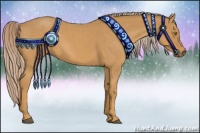 Horse Color:Palomino Roan