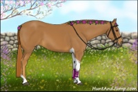 Horse Color:Chestnut Tobiano 