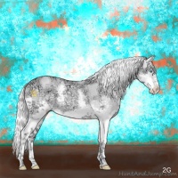 Horse Color:Perlino Ice Sabino Splash Rabicano
