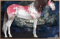 Horse Color:White Spotted Classic Champagne Onyx Splash Frame Brindle 
