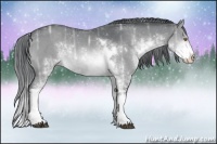 Horse Color:Brown Chinchilla Ice Sabino 