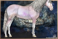 Horse Color:Watercolor White Spotted Gold Cream Champagne Ice Onyx