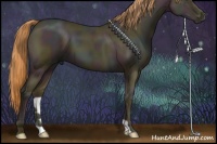 Horse Color:Midnight Buckskin Pearl 