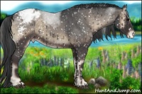 Horse Color:Blue Onyx Roan Snowflake Varnish