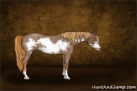 Horse Color:Red Roan Sabino Frame