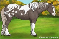 Horse Color:Silver Black Splash Tobiano Blanket