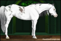 Horse Color:Brown Chinchilla Sabino 