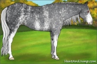 Horse Color:White Spotted Silver Black Chinchilla 