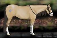 Horse Color:Classic Champagne Dun Sabino