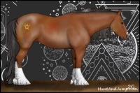 Horse Color:Bay Sabino 