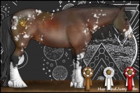 Horse Color:Brown Sabino