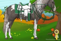 Horse Color:Silver Black Tobiano