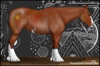 Horse Color:Bay Sabino 